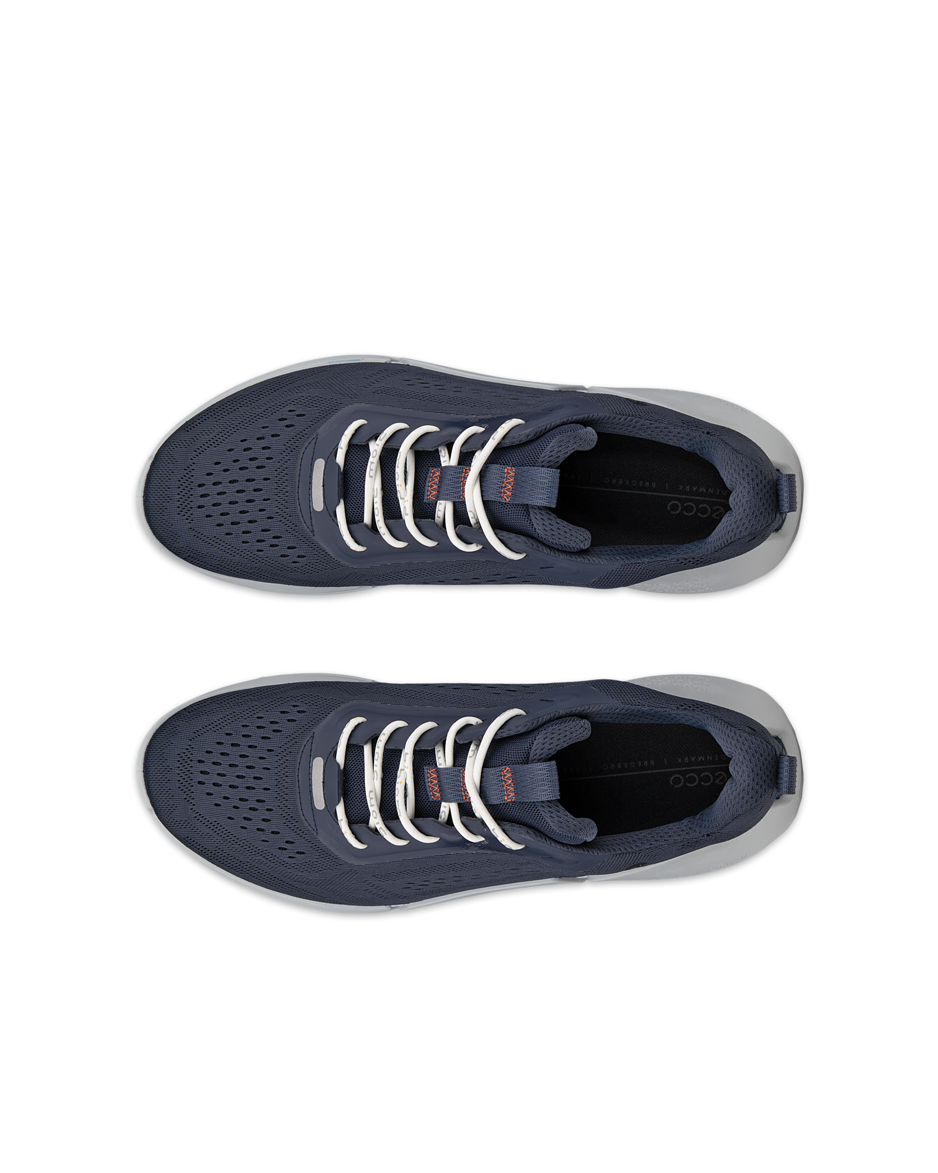 ECCO Biom 2.0 — Blue