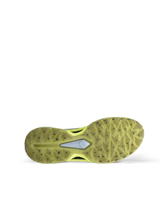 ECCO Golf Biom C5 — Gray 4