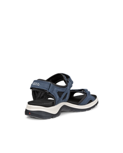 ECCO Offroad — Blue 3