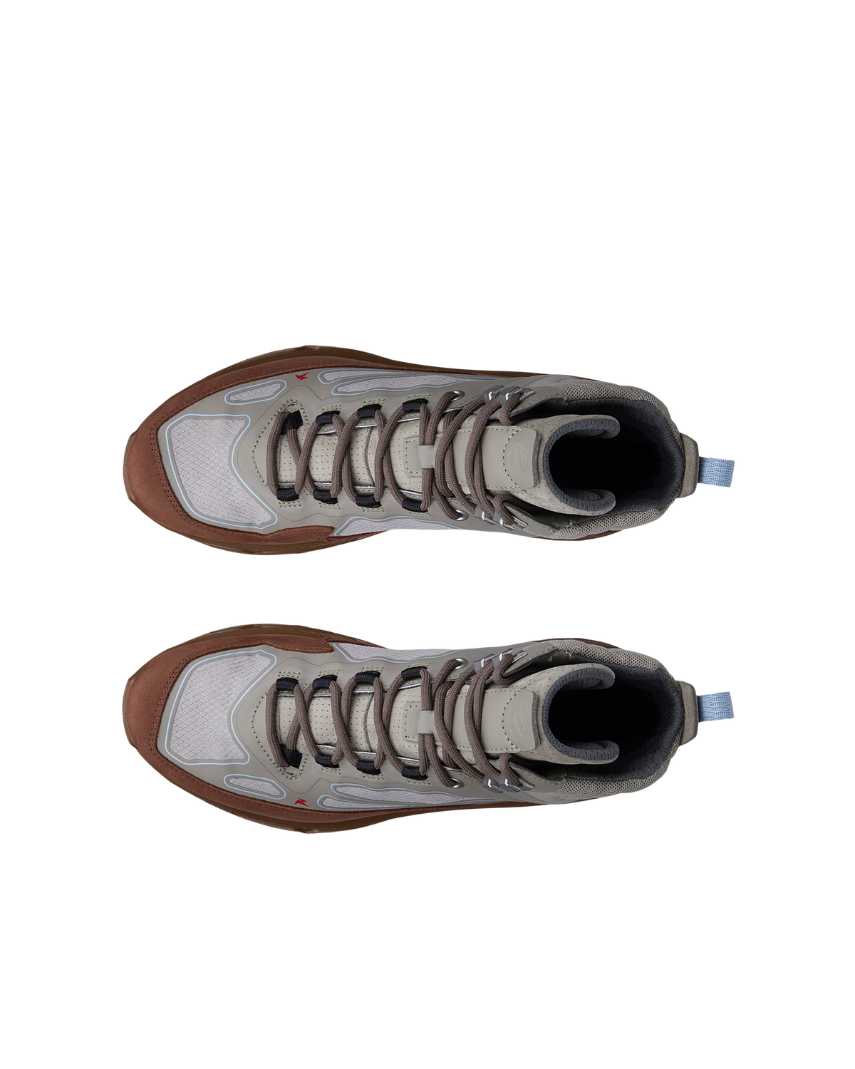 ECCO Receptor Xp — Green