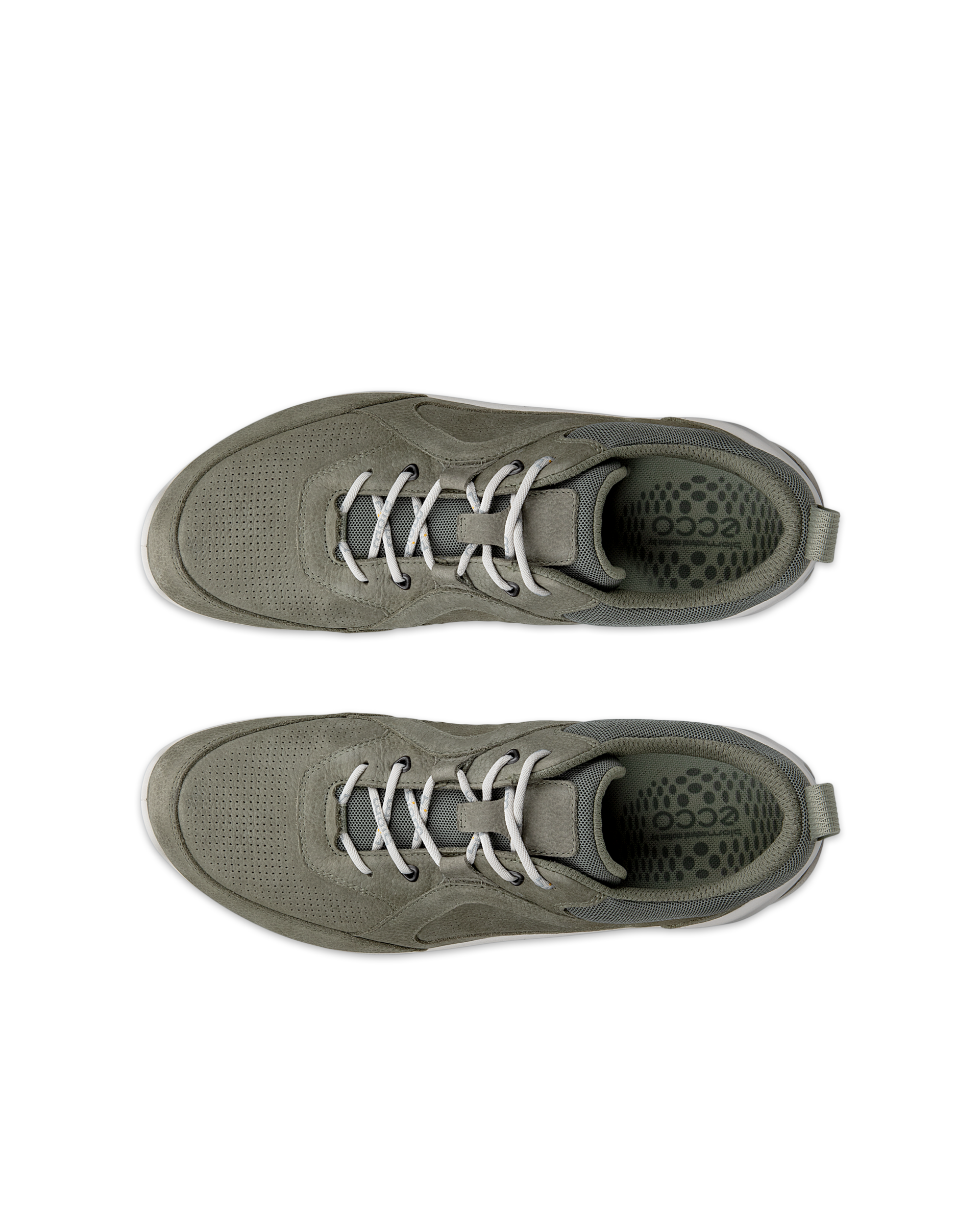 ECCO BIOM ENERGI — Green