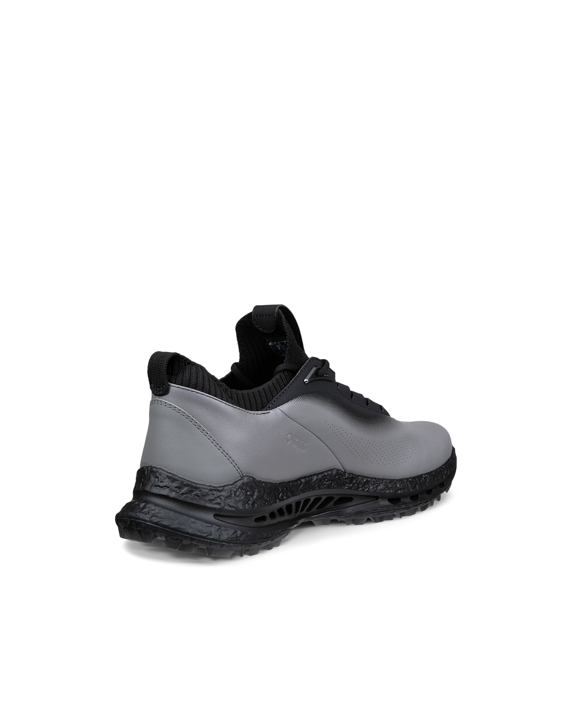 ECCO Golf Biom C5 — Gray