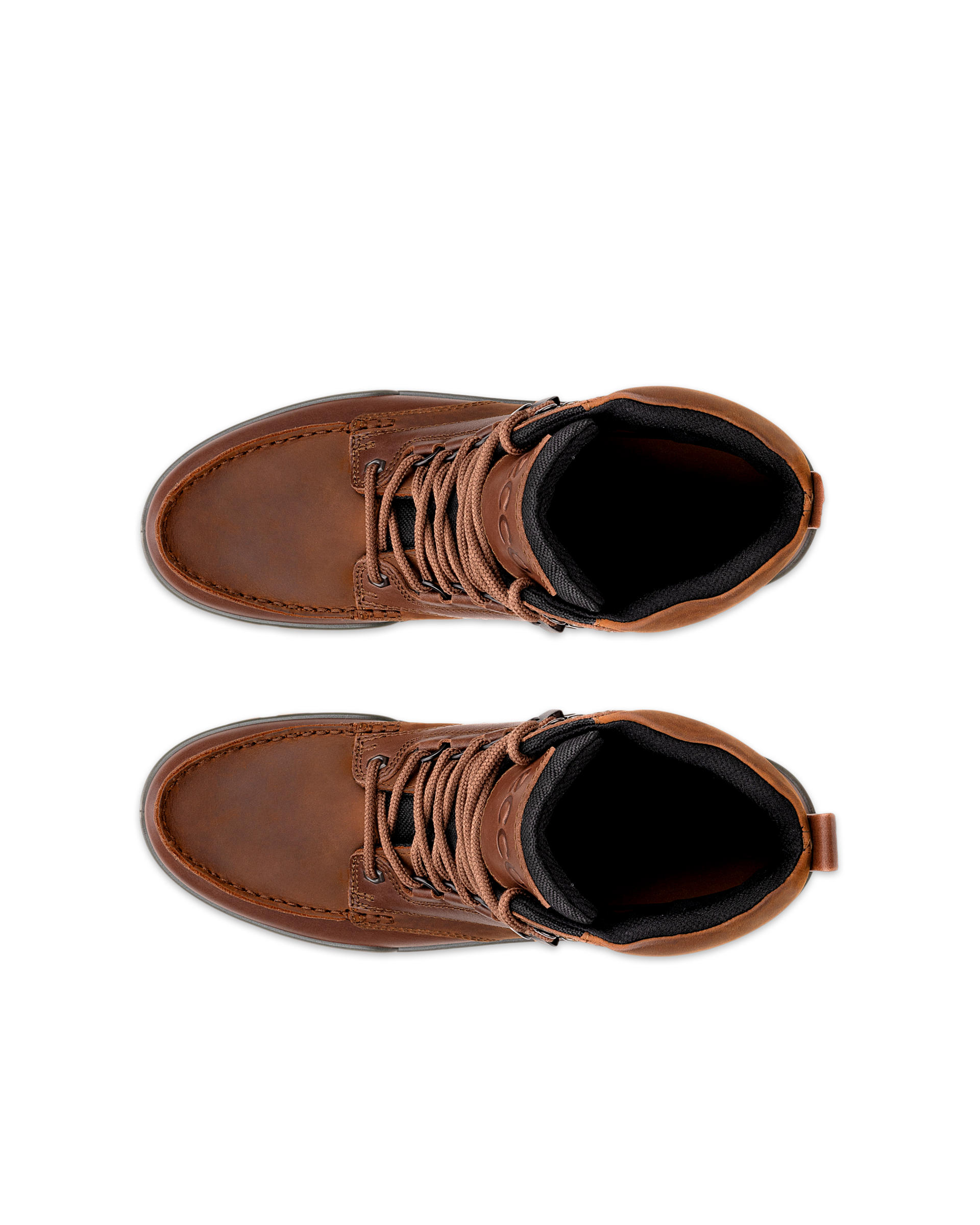 ECCO Track 25 — Brown